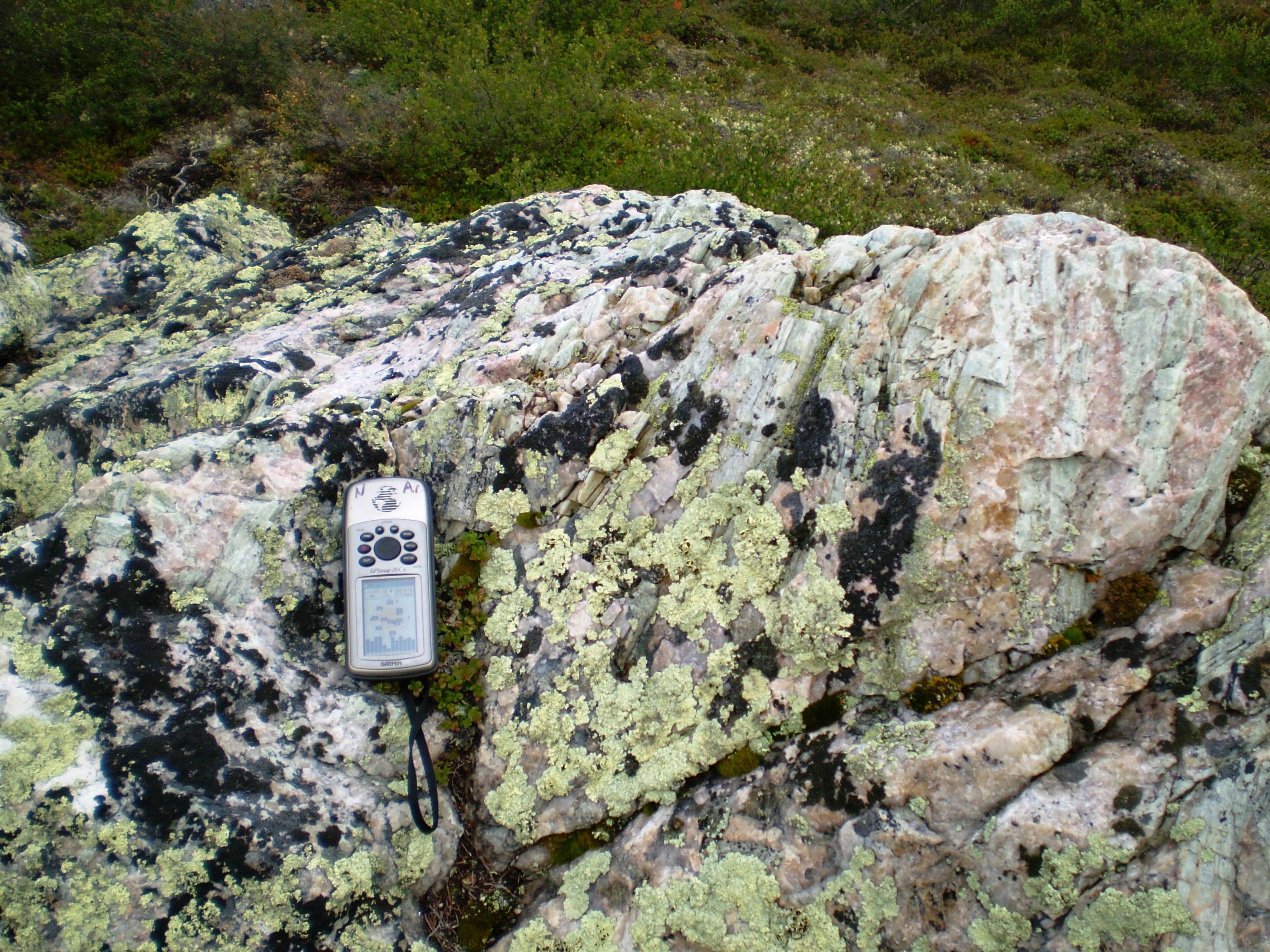 DG Phoenix Lithium outcrop with spodumene